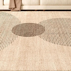 Imagem complementar do Tapete Felpudo para Sala Grande