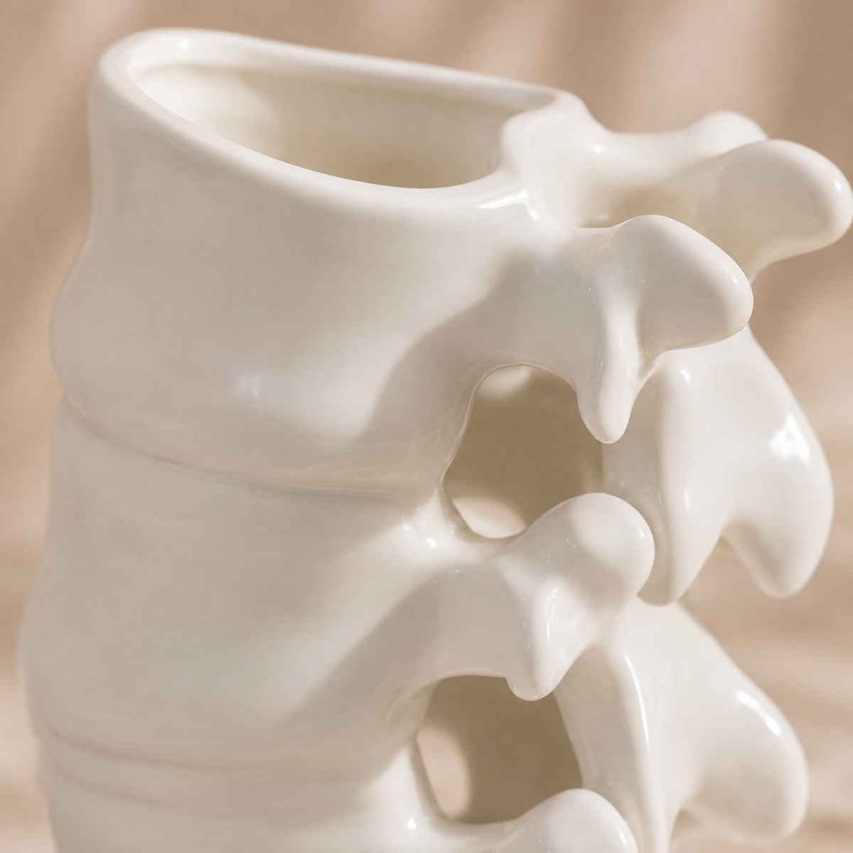 Vaso Decorativo Nórdico de Cerâmica para Sala – Viorenna