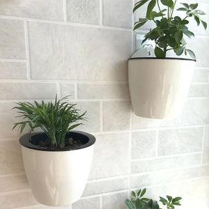 Vaso de Parede Autoirrigável para Varanda e Jardim em sala decorada