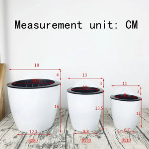 Vaso de Parede Autoirrigável para Varanda e Jardim em sala decorada