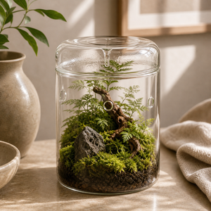 Vaso Decorativo Gotas de Orvalho de Vidro para Plantas em imagem hero premium - Viorenna