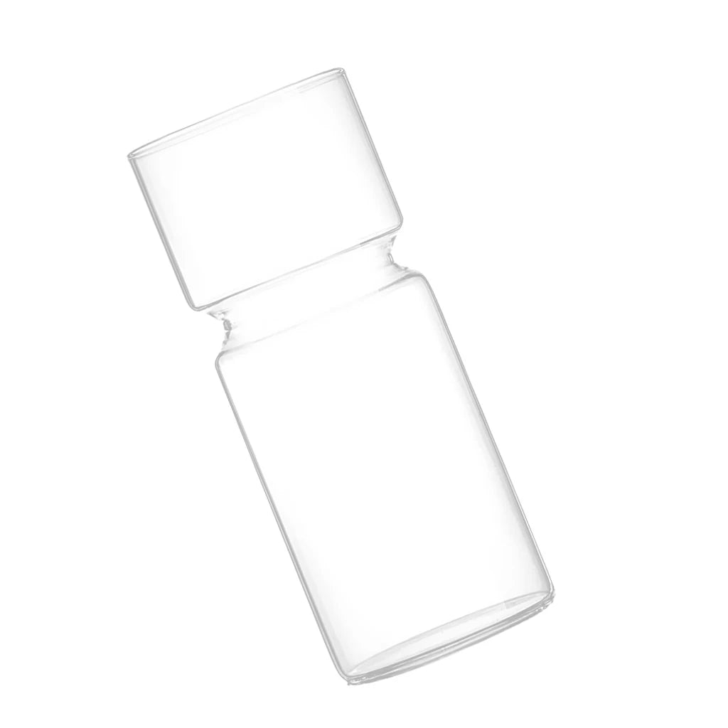 Vaso Decorativo para Plantas Hidropônicas Transparente de Vidro para Plantas em sala decorada